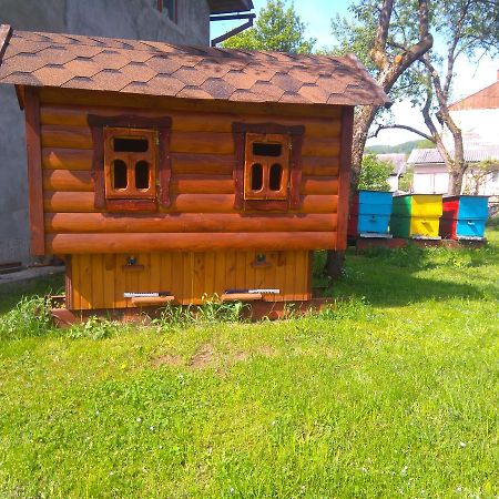Sadiba Pri Dorogi Apartment Cosău Exterior foto